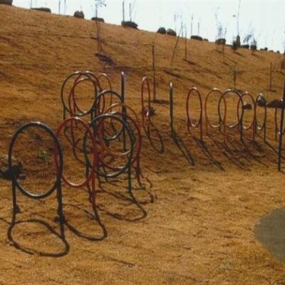 Ring Jungle Gym (20 Rings) Implanted